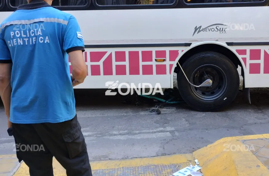 Captura de pantalla 2024-12-19 184232.png