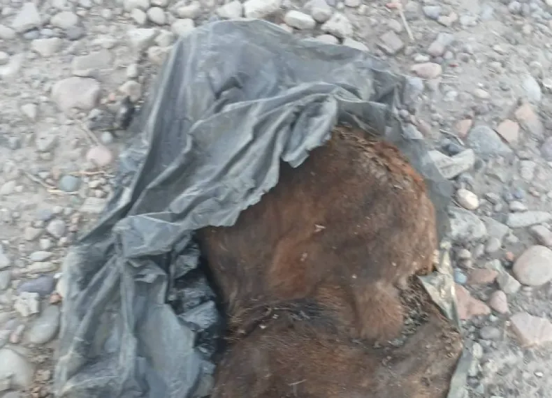 Captura de pantalla 2025-04-08 212142 - copia.png