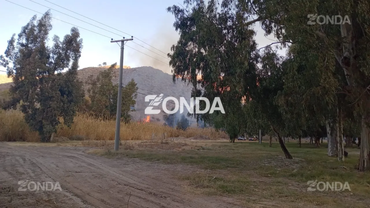 Incendio de un cañaveral frente al Jardín de los Poetas. 