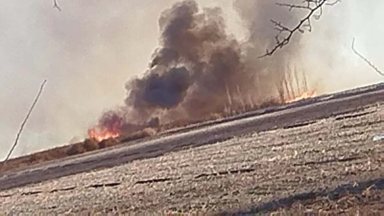 Bomberos Voluntarios de Pocito (2).jpg