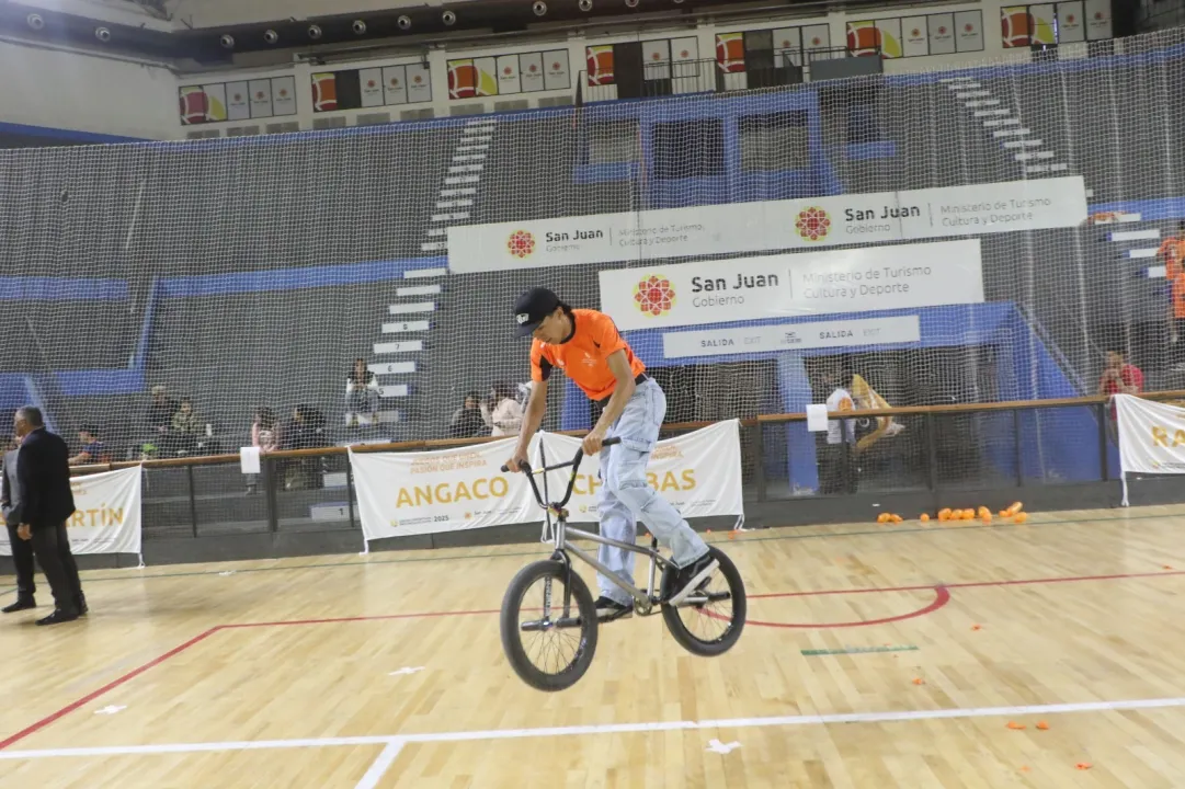 WhatsApp Image 2025-08-13 at 4.57.30 PM.jpeg