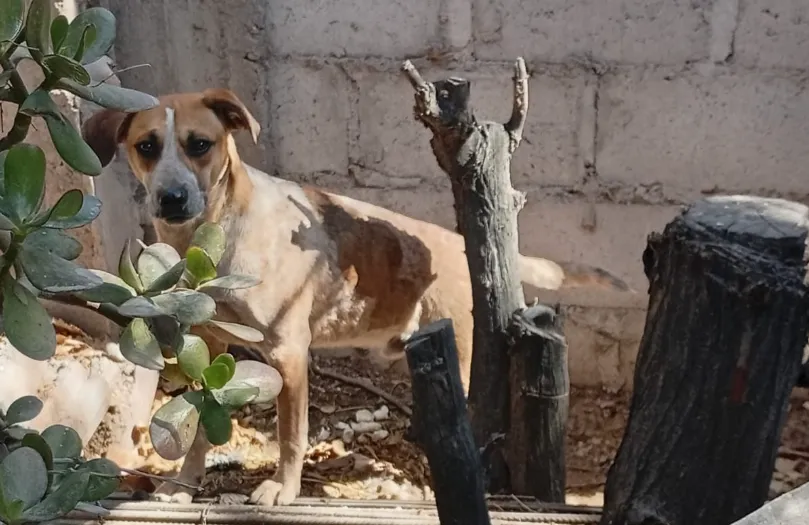 Captura de pantalla 2025-08-28 210612.png