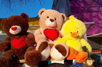 Una emprendedora sanjuanina exportó peluches interactivos fabricados en la provincia