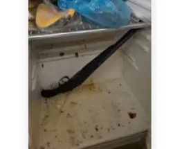 Violento operativo policial en Rivadavia: dictaron prisión preventiva para el joven acusado