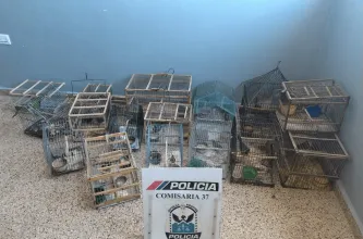 Caucete: hallaron 17 aves silvestres enjauladas en un operativo policial
