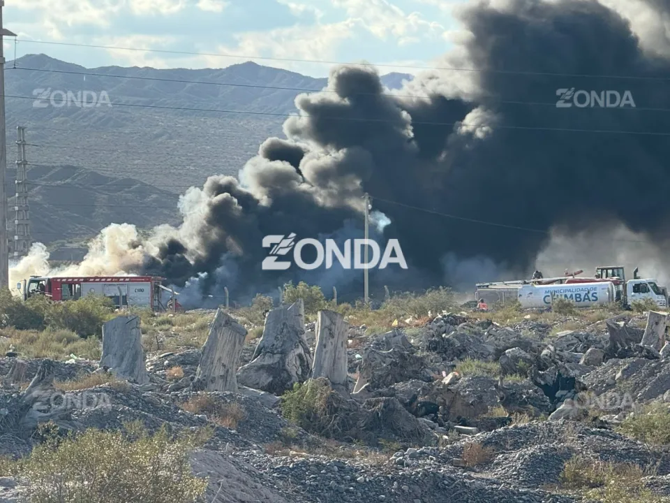 WhatsApp Image 2026-03-31 at 17.52.47.jpeg