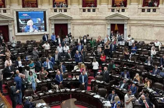 La Casa Rosada prepara una reforma integral de la Ley de Salud Mental