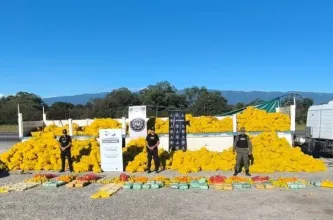 Limones como pantalla: descubren un millonario cargamento de droga con ruta hacia San Juan