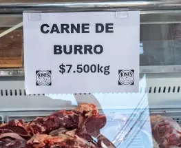 Carne de burro: barata, nutritiva y en debate, ¿conviene consumirla?