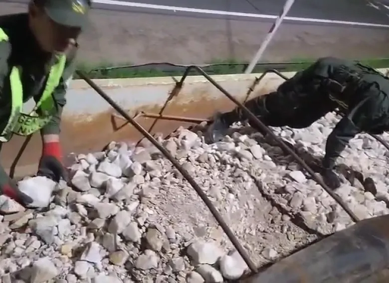 Detectan carga irregular y fauna silvestre antes de llegar a San Juan