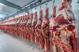 El precio de exportación de la carne alcanzó un récord histórico