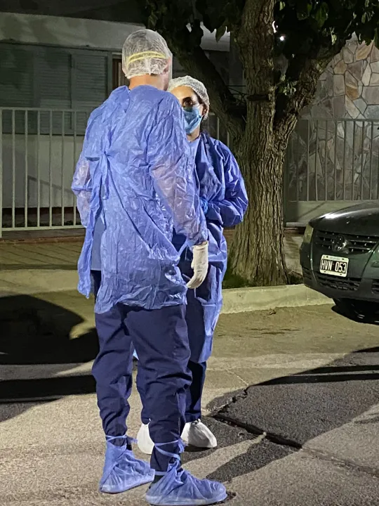 rescate perros gatos animales santa lucia