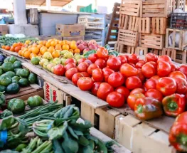 ¿Cuánto cuestan las verduras en la Feria Municipal?