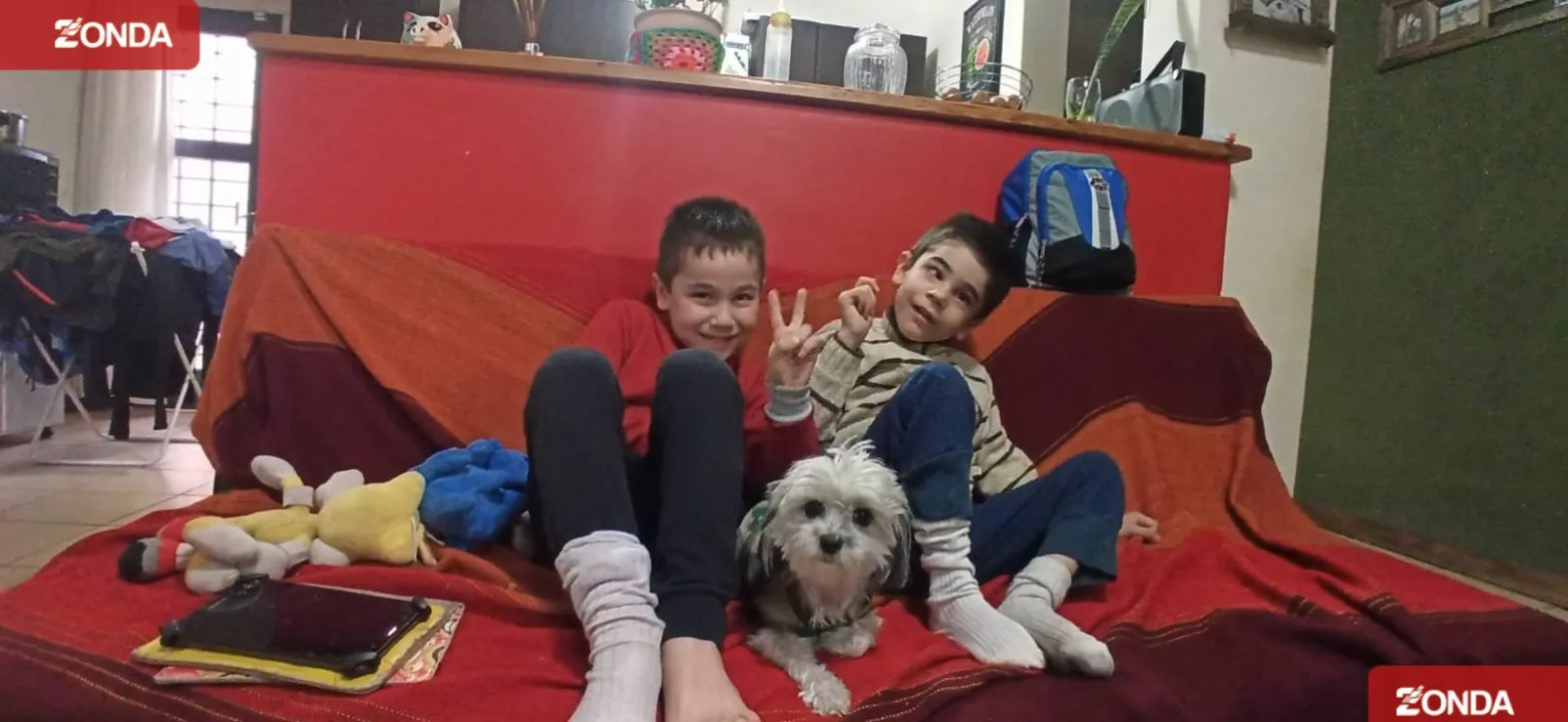 Pupi, perrita robada