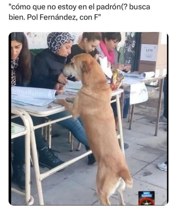 WhatsApp Image 2023-08-13 at 4.50.15 PM.jpeg