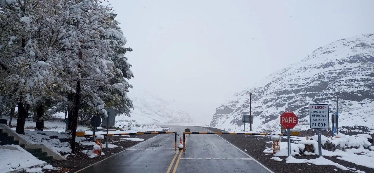 WhatsApp Image 2024-04-14 at 1.23.03 PM.jpeg