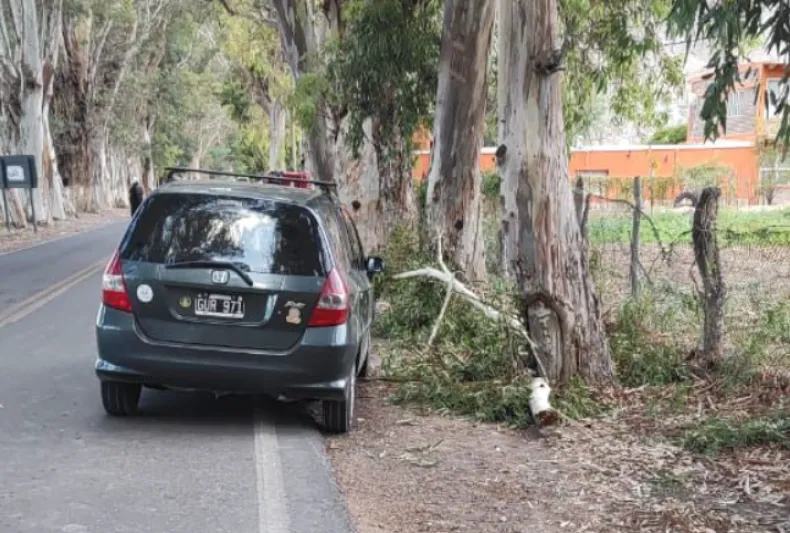 Captura de pantalla 2025-01-05 164857.png