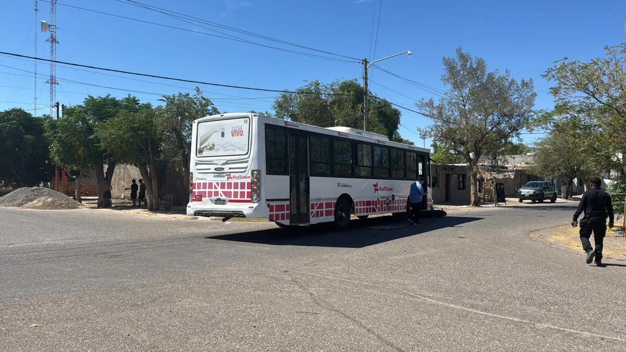 52dbd9f9-1b09-4484-94fd-0e0aa902ae40.jfif