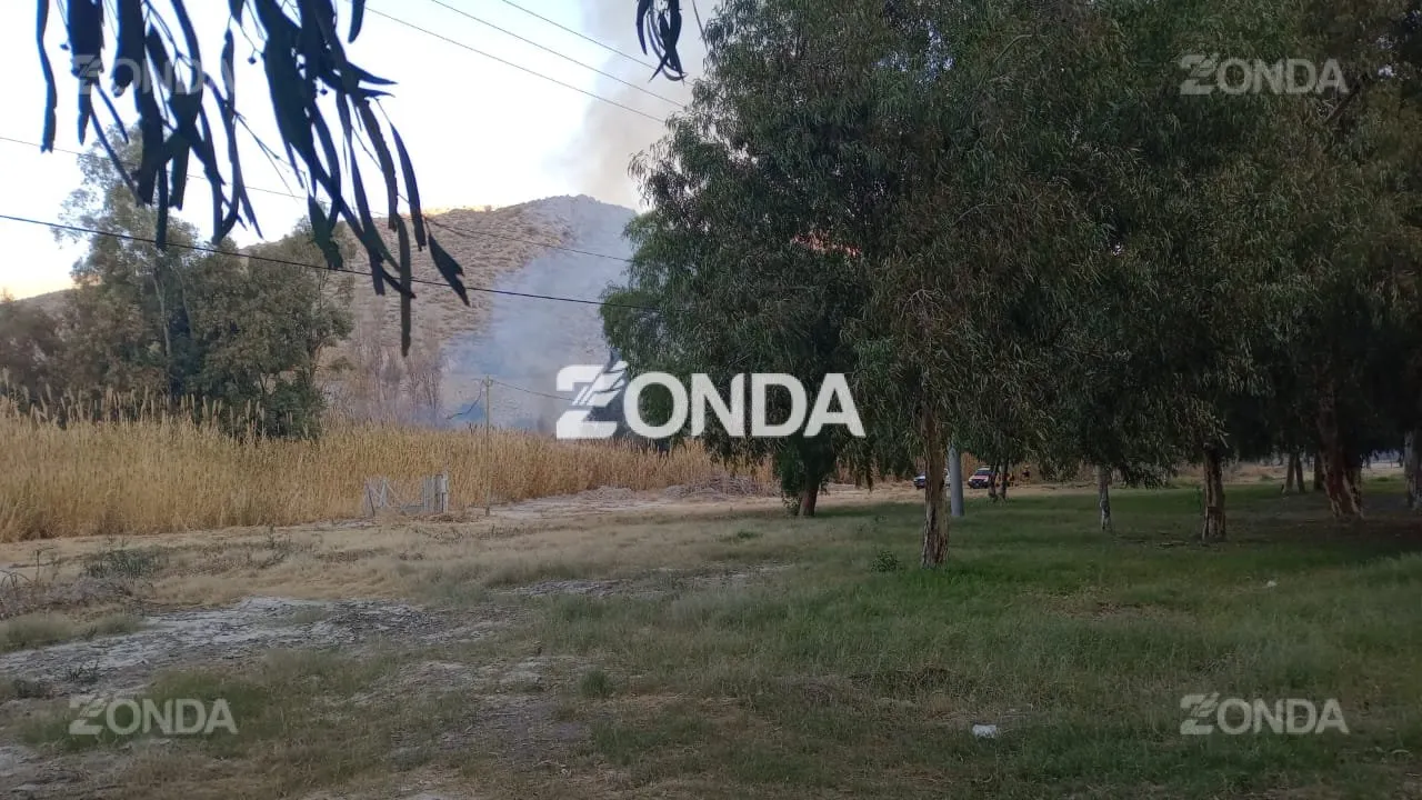 Incendio de un cañaveral frente al Jardín de los Poetas. 