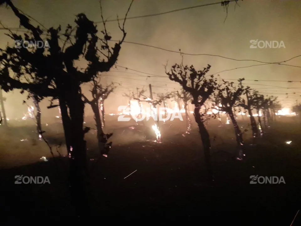 b23e20d6-b764-4f71-8d18-468b39d42531 - copia.jpeg