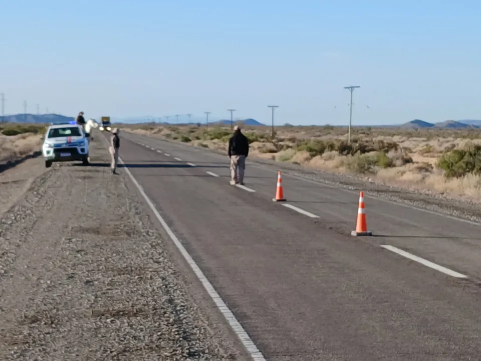 5187adbf-0501-420e-baf9-e1625fa04964.jfif