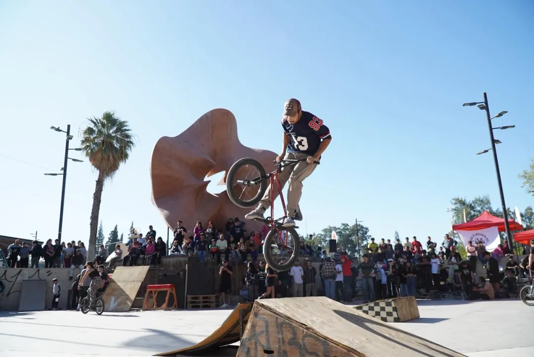 WhatsApp Image 2025-09-21 at 10.57.08 PM.jpeg