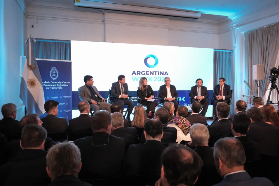 WhatsApp Image 2026-03-12 at 17.32.03.jpeg