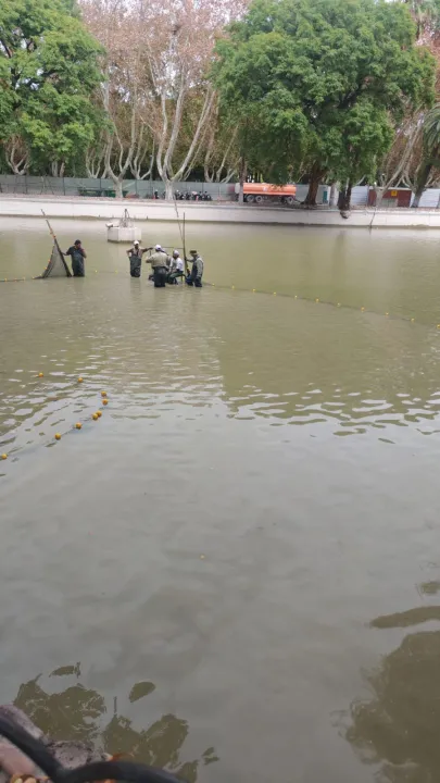 WhatsApp Image 2026-03-13 at 16.10.23 (2).jpeg