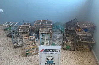 Rescataron 17 aves silvestres que estaban enjauladas en una vivienda de Caucete