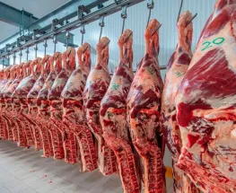 China rechazó un envío de carne argentina por antibiótico prohibido: qué se sabe hasta ahora