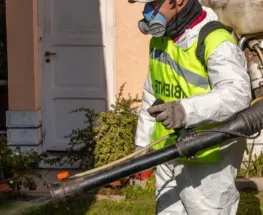 La Ciudad de San Juan activará una semana de fumigación y control de roedores en varios sectores