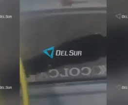 Atacaron a piedrazos un colectivo de la línea 204 con pasajeros a bordo