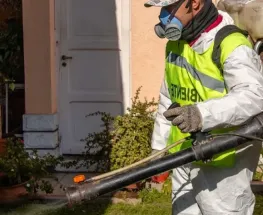 Capital difundió el operativo semanal de control de plagas y educación ambiental