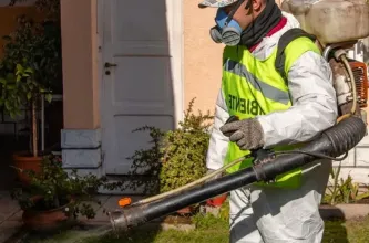 Capital difundió el operativo semanal de control de plagas y educación ambiental