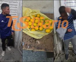 Dos hombres fueron detenidos tras ingresar dos veces a robar mandarinas en la casa de una jubilada
