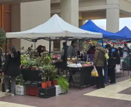 La Feria Agroproductiva vuelve al Centro Cívico con oferta de alimentos frescos y artesanales