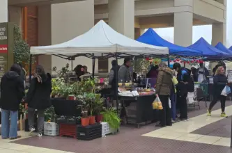 La Feria Agroproductiva vuelve al Centro Cívico con oferta de alimentos frescos y artesanales