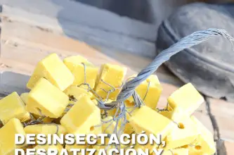 La Municipalidad capitalina difundió el cronograma semanal de desratización
