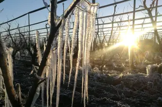 Comienza el invierno en Argentina: qué es el solsticio y cuándo ocurre
