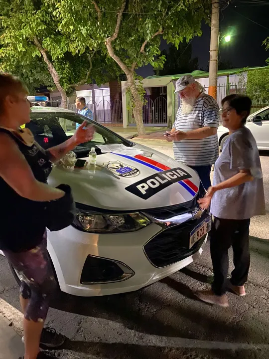 rescate perros gatos animales santa lucia