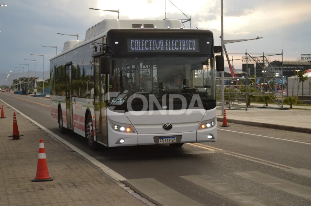 colectivo en la FNS (4).jpg