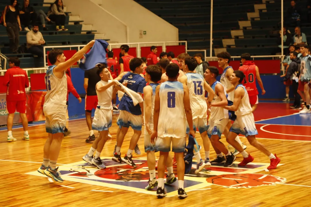 Hockey Sobre patines masculino 2.JPG.jpeg