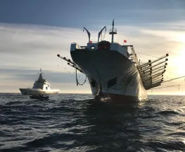 Detienen a un buque chino que pescaba ilegalmente en aguas argentinas