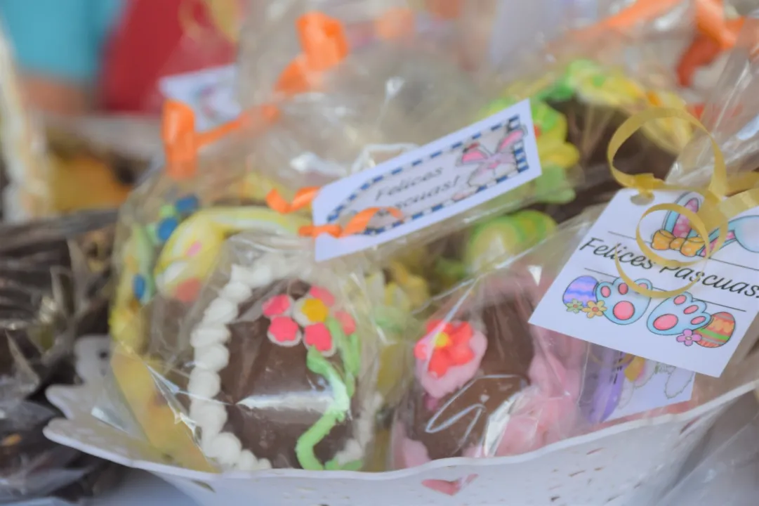 WhatsApp Image 2024-04-01 at 5.10.10 PM.jpeg