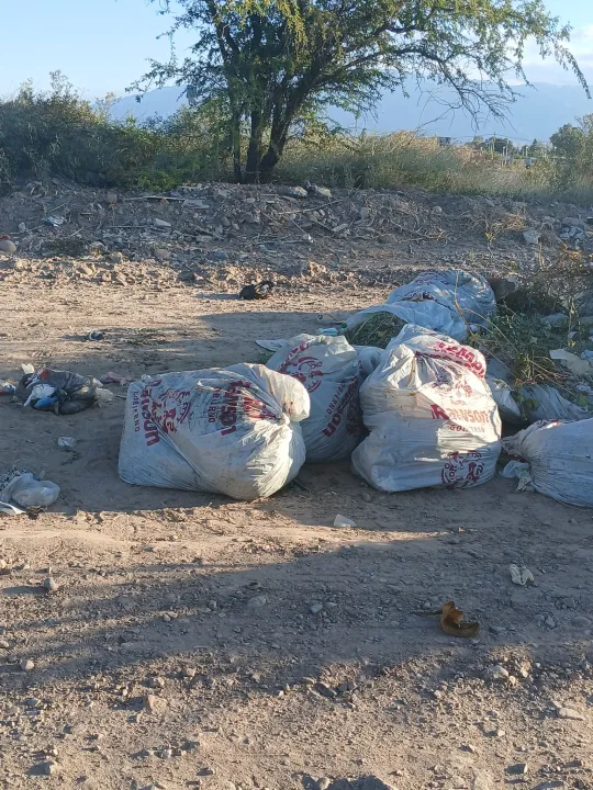 490099162_1894718554599542_5331178470812491490_n - copia.jpg