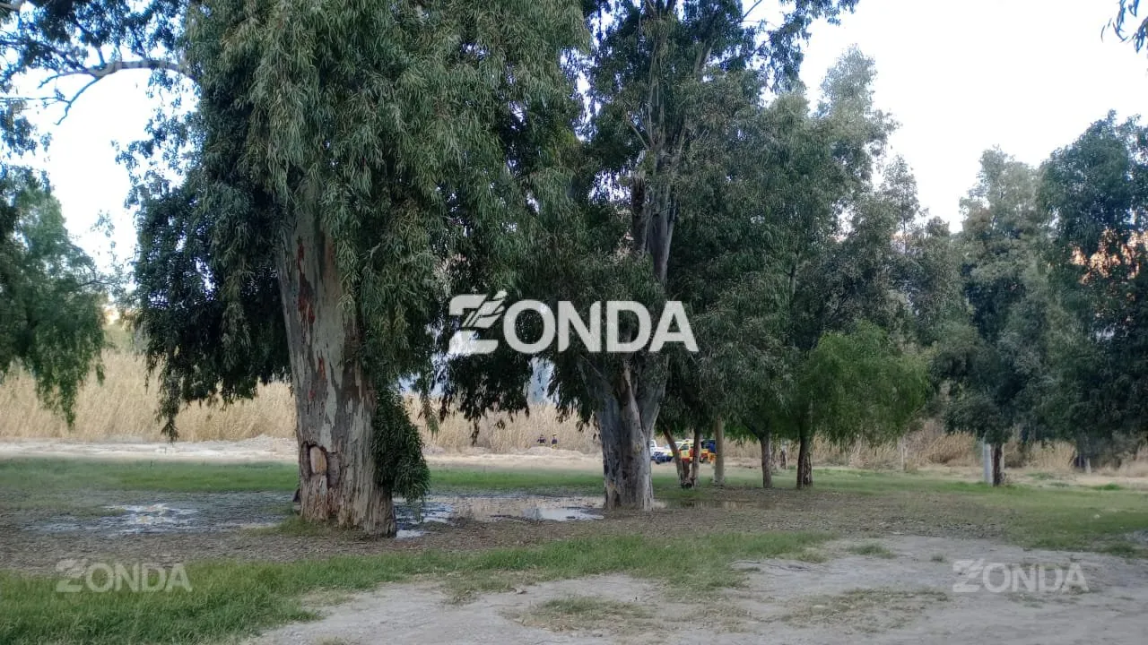 Incendio de un cañaveral frente al Jardín de los Poetas. 