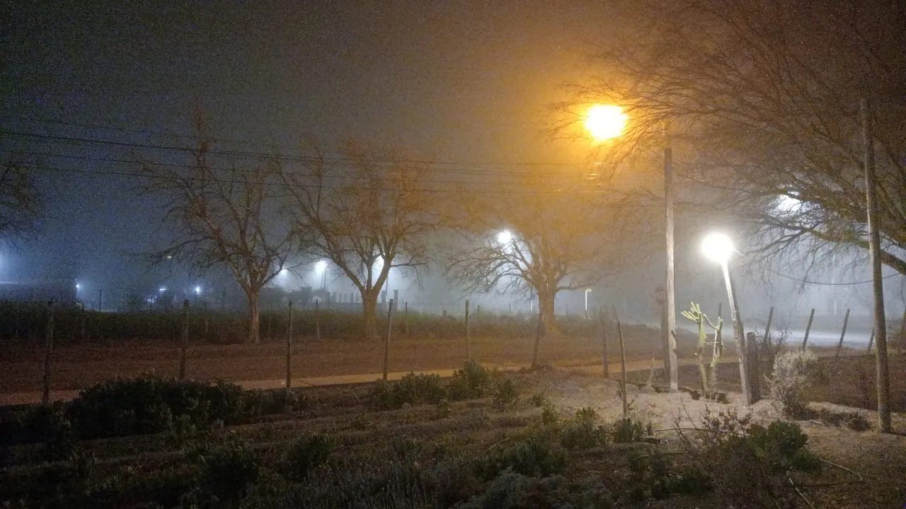 niebla2.jpeg