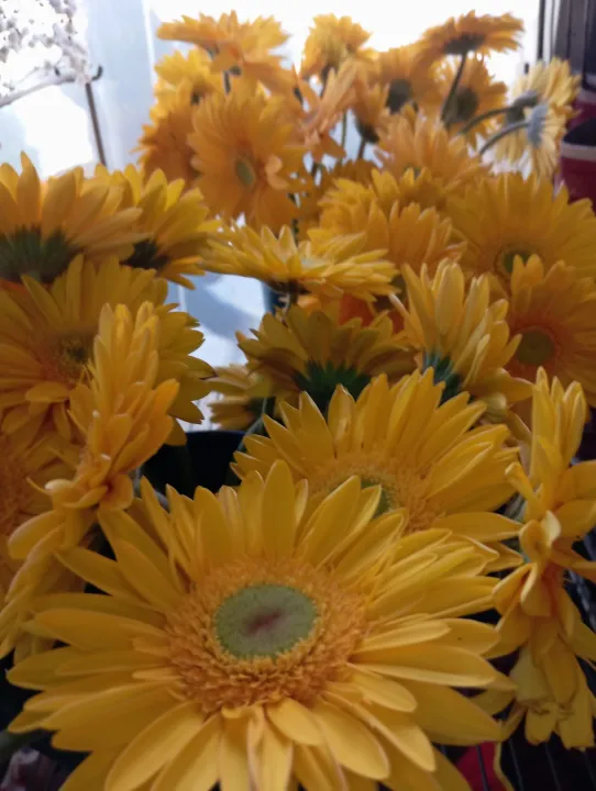 b70c6e6c-5660-4574-b29c-b2c8c34a05b1.jfif