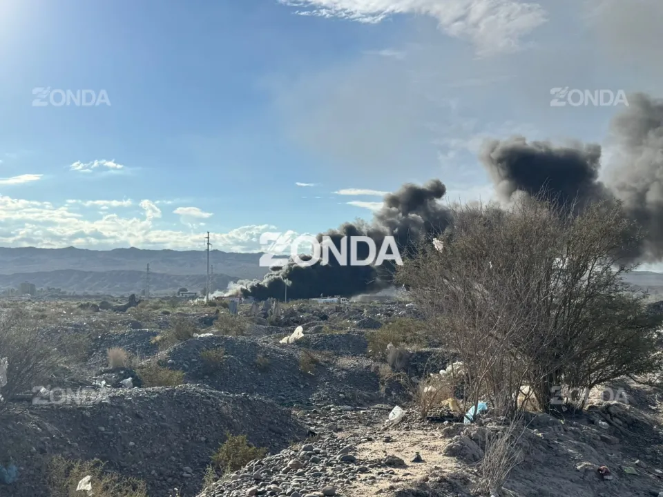 WhatsApp Image 2026-03-31 at 17.52.46.jpeg