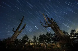 Las Eta Acuáridas alcanzan su punto máximo entre el 5 y el 6 de mayo